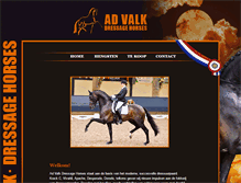 Tablet Screenshot of advalk.com